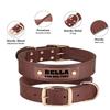 Personalized Adjustable Dog Collar with Engraved ID, Green, XL view 3
