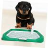 Small Green Plastic Dog Toilet for Indoor Use view 2