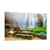 Pleayietoopiatiey Aquarium Background Poster view 1