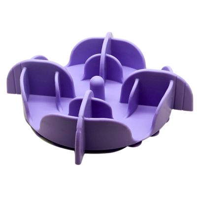 Slow Feeder Bowl for Pets