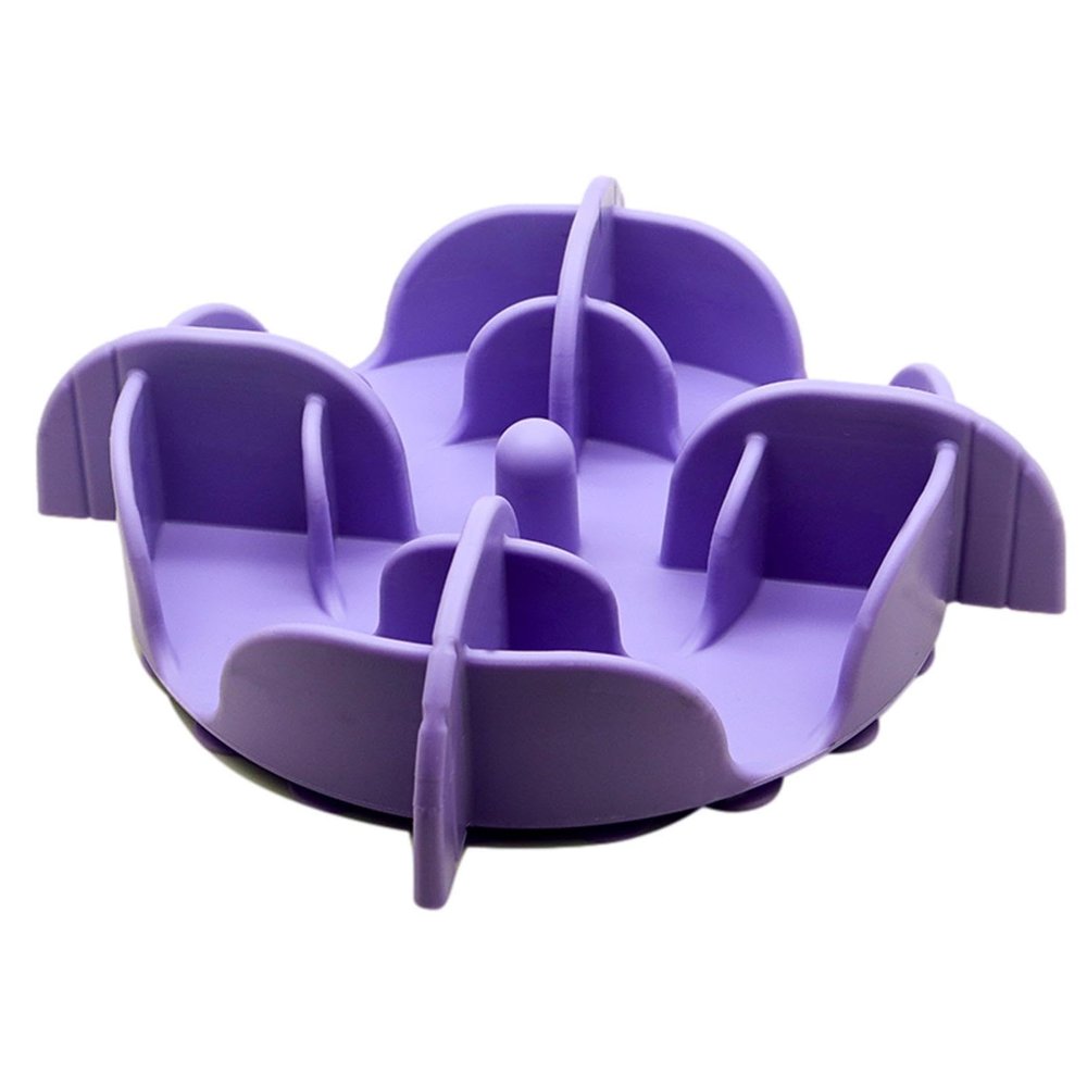 Slow Feeder Bowl for Pets