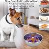 Slow Feeder Bowl for Pets view 2