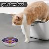 Slow Feeder Bowl for Pets view 3