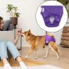 Soft Reusable Leakproof Washable Diapers for Small Dogs view 2