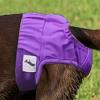 Soft Reusable Leakproof Washable Diapers for Small Dogs view 3