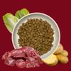 Nordheld Kapitän Deer & Potato | Hypoallergenic Dry Dog Food with Deer as the Only Animal Protein Source | Super Premium for Adult Dogs (10 kg) view 4