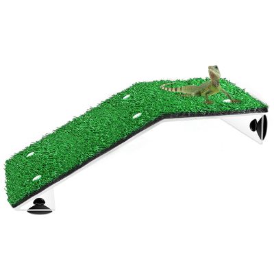 Turtle Basking Ramp