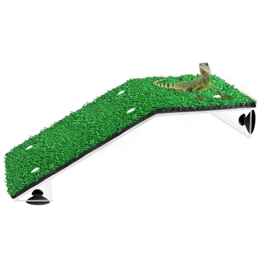 Turtle Basking Ramp