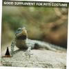 Levemolo Halloween Pet Hat with Scarf view 4