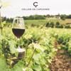 Syrah, Garnacha Red Wine Celler de Capcanes 2020 D.O. Monsant Spain Dry, Herbs, Vanilla, Cherry, Light Oak Aromas, 6 Bottles view 4