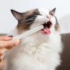 Dog Tooth Cleaning Brush view 3