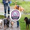 Social Identification Stickers for Dogs view 3