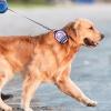 Social Identification Labels for Pets view 3