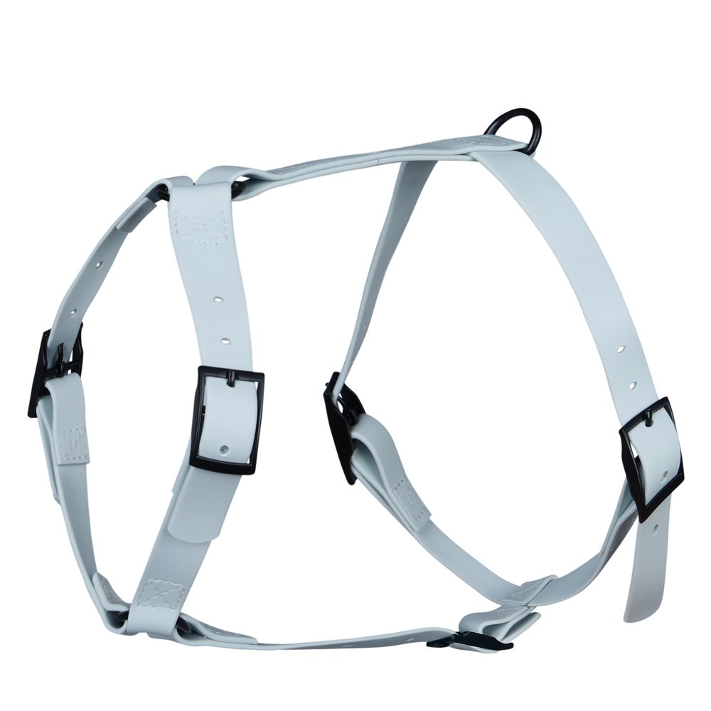 Arizona Hotdogs Dog Harness PVC | Durable and Waterproof | Pastel Blue L