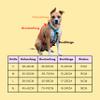 Arizona Hotdogs Dog Harness PVC | Durable and Waterproof | Pastel Blue L view 3