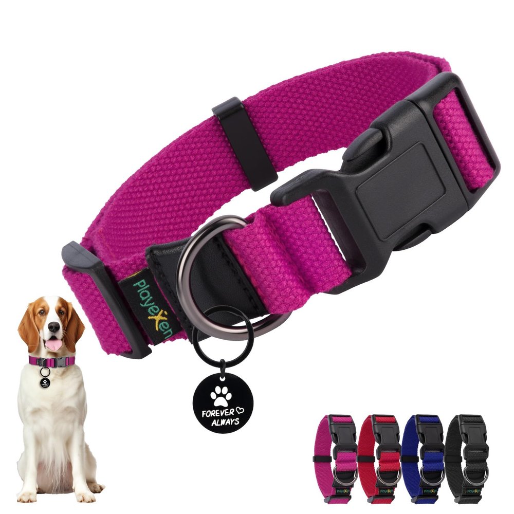 Adjustable Dog Collar for Large Dogs