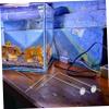 Kisangel Robust LED Aquarium Lamp Holder view 2