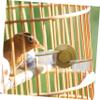 BESPORTBLE Hanging Reptile Bowl view 4