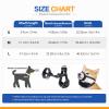 Riaisttd Reflective Dog Muzzle, Dog Muzzle Against view 4