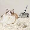 Metal Cat Litter Scoop for Kittens view 2