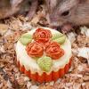 Hamster Chew Toy - Cake Shaped view 2