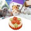 Hamster Chew Toy - Cake Shaped view 4
