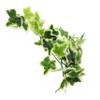BUGUUYO Artificial Hanging Plants Green Decoration with Suction Cup view 1