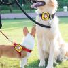 Dog Social Stickers view 4