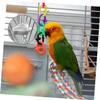 BESPORTBLE 4-Piece Bird Food Clips view 4