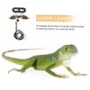 BUGUUYO 5-Piece Lizard Harness with Adjustable Leash and Colorful Wings view 2