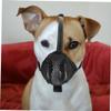 Kisangel Adjustable Dog Muzzle view 3