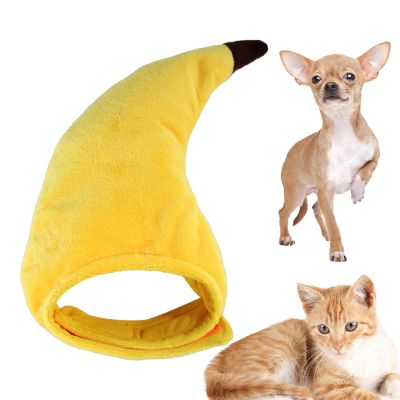 Cat & Dog Banana Costume | Funny Halloween Outfit