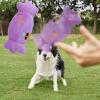 Plush Pet Toy - Stuffed Cat Toy, Plush Dog Toy view 2