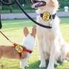 Pet Social Reminder Sticker view 2
