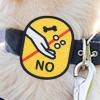 Pet Social Reminder Sticker view 3