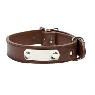 Personalized Dog Collar, Dog ID Collar, Brown, Size S