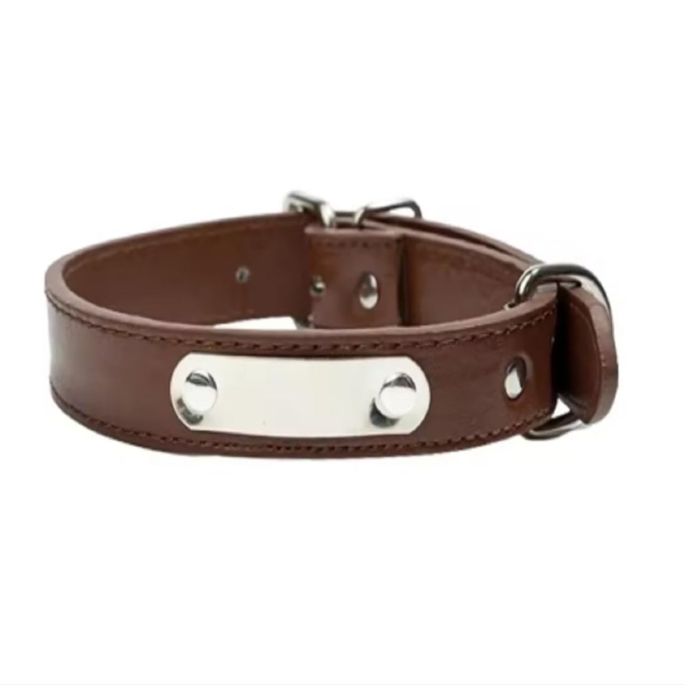 Personalized Dog Collar, Dog ID Collar, Brown, Size S