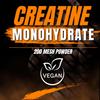Luxofit Creatine Monohydrate Powder, 100% Pure, 200 Mesh (500 g) view 2