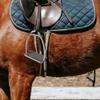 Glixoft 2-Piece Stainless Steel Horse Stirrups for Adult Outdoor Riding view 2