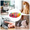 Foldable Rainbow Cat Tunnel view 3