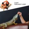 Portable Bearded Dragon Costume Hat view 3