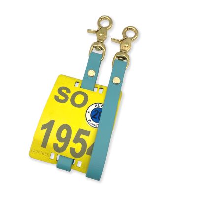 Biothane Riding Plaque Holders, Pair (Dusty Turquoise, Brass)