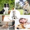 Dog Raincoat with Hood view 4