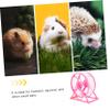 BUGUUYO Hamster Wheel Toy - Quiet view 4