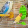 Fukamou Cuttlebone Holder for Parakeets view 2