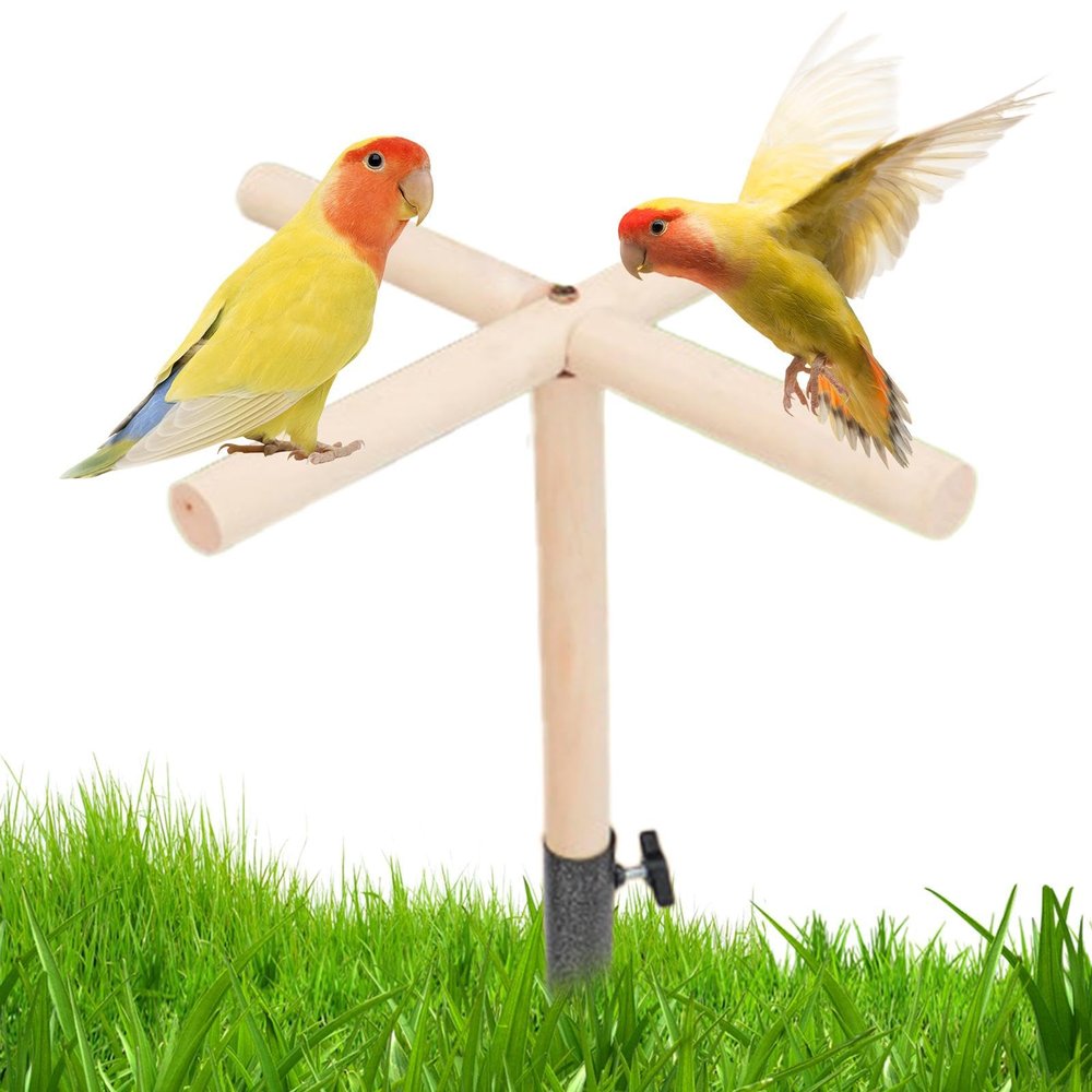 Bird Perch Toy, Perches for Roosters