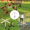Bird Perch Toy, Perches for Roosters view 4