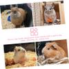 BUGUUYO Large Capacity Hay Feeder for Small Pets view 2