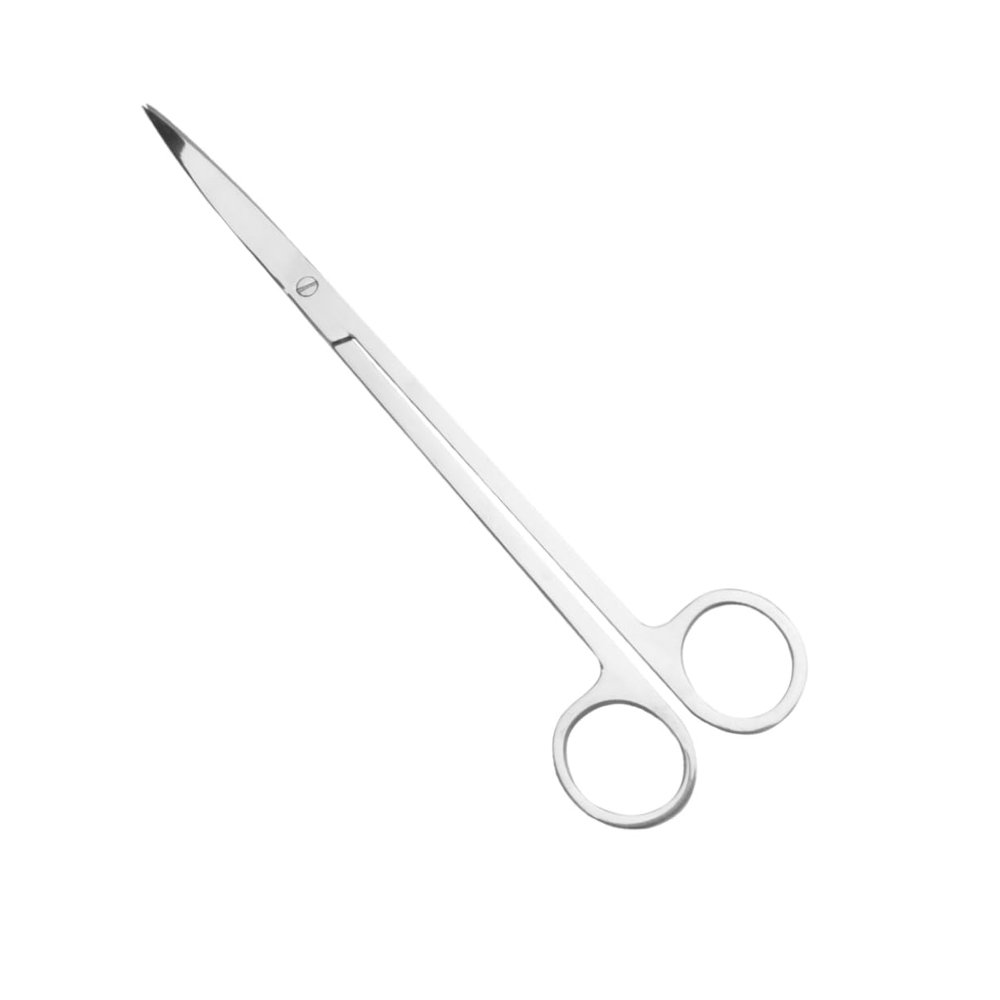 25 cm Stainless Steel Scissors for Aquarium Plants, Silver, for Professional Aquarists
