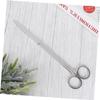 25 cm Stainless Steel Scissors for Aquarium Plants, Silver, for Professional Aquarists view 2